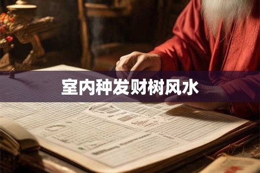 室内种发财树风水