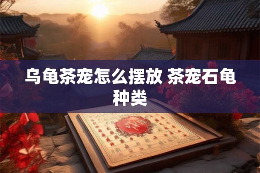 乌龟茶宠怎么摆放 茶宠石龟种类