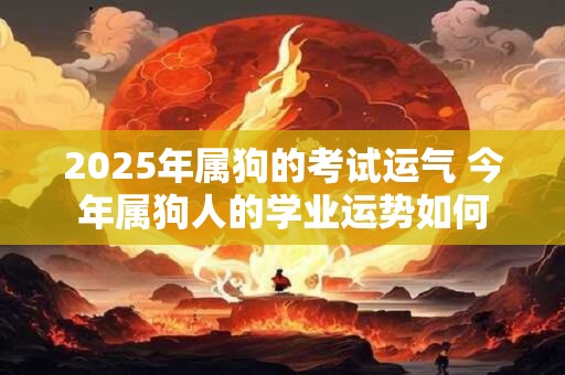 2025年属狗的考试运气 今年属狗人的学业运势如何