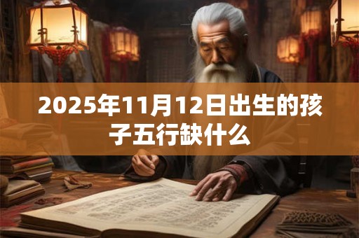 2025年11月12日出生的孩子五行缺什么