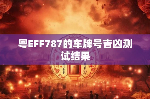 粤EFF787的车牌号吉凶测试结果