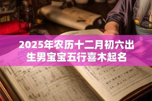 2025年农历十二月初六出生男宝宝五行喜木起名