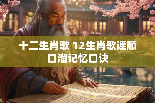 十二生肖歌 12生肖歌谣顺口溜记忆口诀