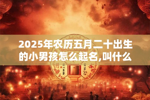 2025年农历五月二十出生的小男孩怎么起名,叫什么好