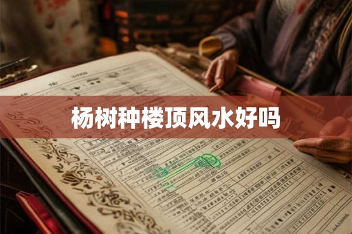 杨树种楼顶风水好吗