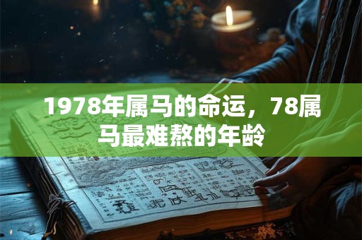 1978年属马的命运，78属马最难熬的年龄