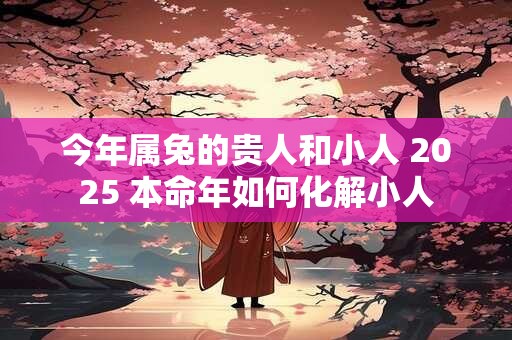 今年属兔的贵人和小人 2025 本命年如何化解小人