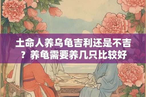 土命人养乌龟吉利还是不吉？养龟需要养几只比较好