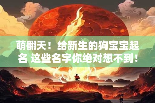 萌翻天！给新生的狗宝宝起名 这些名字你绝对想不到！