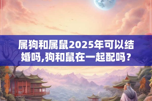 属狗和属鼠2025年可以结婚吗,狗和鼠在一起配吗？