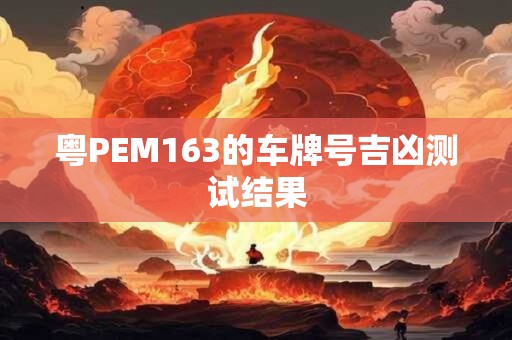 粤PEM163的车牌号吉凶测试结果