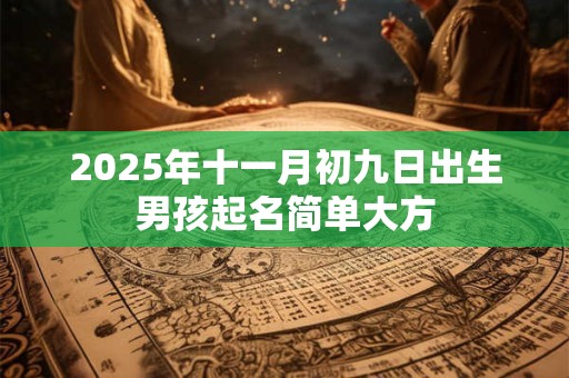 2026年十一月初九日出生男孩起名简单大方