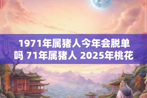 1971年属猪人今年会脱单吗 71年属猪人 2025年桃花运