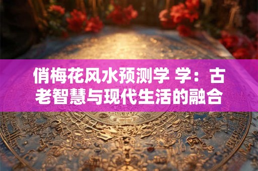 俏梅花风水预测学 学：古老智慧与现代生活的融合