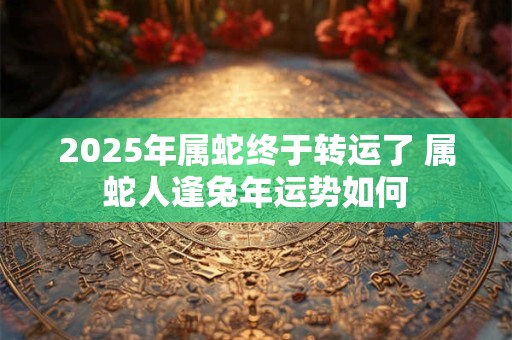 2025年属蛇终于转运了 属蛇人逢兔年运势如何 2025年属蛇终于转运了 属蛇人逢兔年运势如何