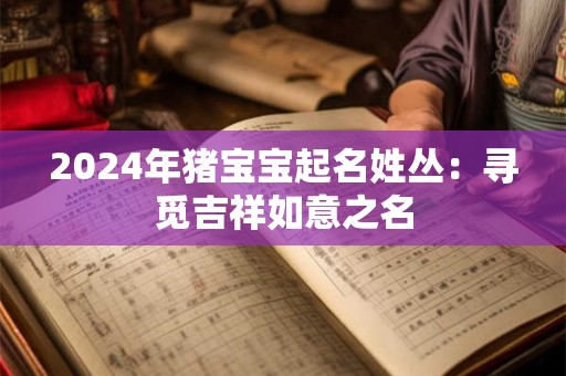 2024年猪宝宝起名姓丛：寻觅吉祥如意之名