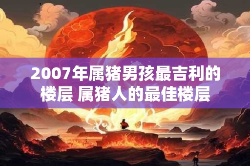 2007年属猪男孩最吉利的楼层 属猪人的最佳楼层 2007年属猪男孩最吉利的楼层 属猪人的最佳楼层