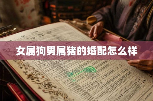 女属狗男属猪的婚配怎么样