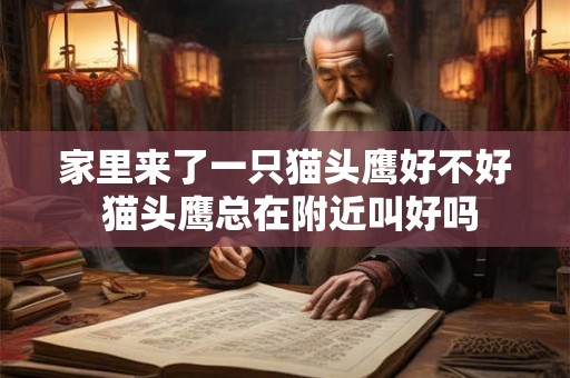 家里来了一只猫头鹰好不好 猫头鹰总在附近叫好吗