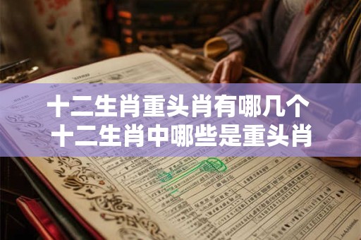 十二生肖重头肖有哪几个 十二生肖中哪些是重头肖