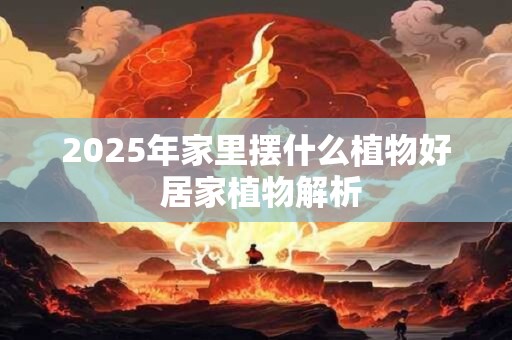 2026年家里摆什么植物好 居家植物解析