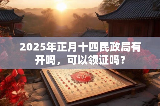 2025年正月十四民政局有开吗，可以领证吗？