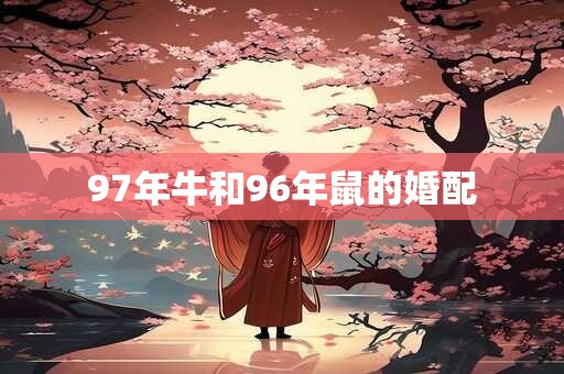 97年牛和96年鼠的婚配