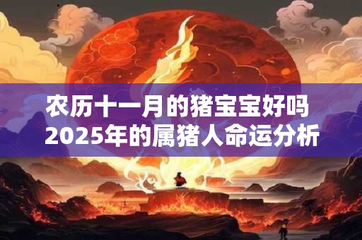 农历十一月的猪宝宝好吗 2025年的属猪人命运分析！
