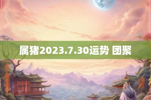 属猪2023.7.30运势 团聚