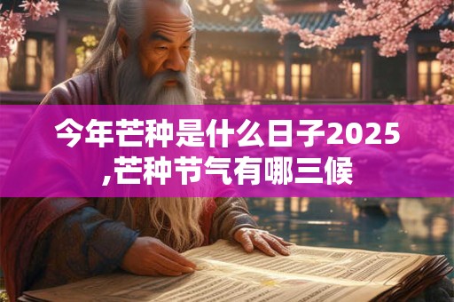 今年芒种是什么日子2025,芒种节气有哪三候
