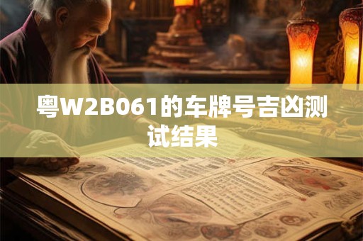 粤W2B061的车牌号吉凶测试结果