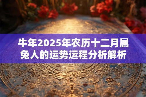 牛年2025年农历十二月属兔人的运势运程分析解析 牛年2025年农历十二月属兔人的运势运程分析解析