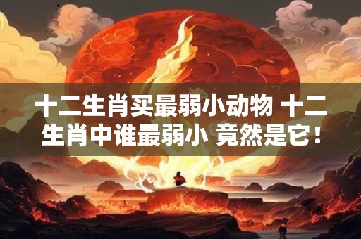 十二生肖买最弱小动物 十二生肖中谁最弱小 竟然是它！