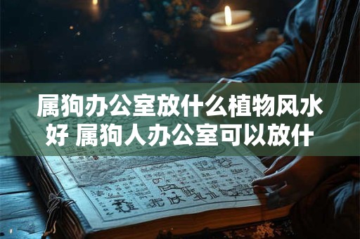 属狗办公室放什么植物风水好 属狗人办公室可以放什么