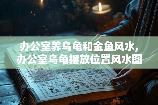 办公室养乌龟和金鱼风水,办公室乌龟摆放位置风水图