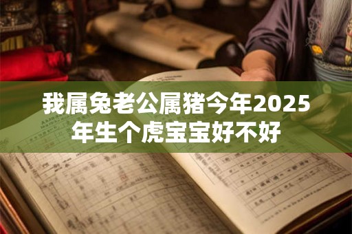 我属兔老公属猪今年2025年生个虎宝宝好不好
