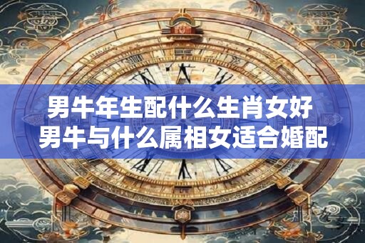 男牛年生配什么生肖女好 男牛与什么属相女适合婚配