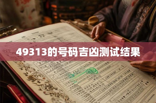 49313的号码吉凶测试结果