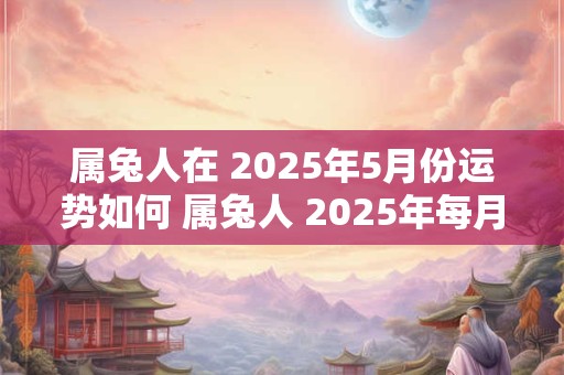 属兔人在 2025年5月份运势如何 属兔人 2025年每月运气怎么样