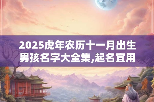 2025虎年农历十一月出生男孩名字大全集,起名宜用字