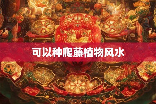 可以种爬藤植物风水