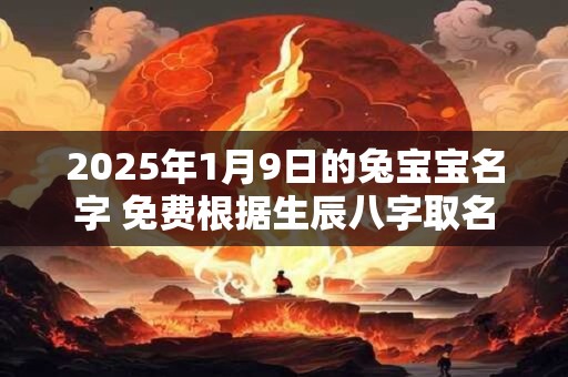 2025年1月9日的兔宝宝名字 免费根据生辰八字取名
