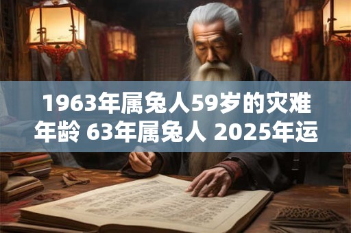 1963年属兔人59岁的灾难年龄 63年属兔人 2025年运势