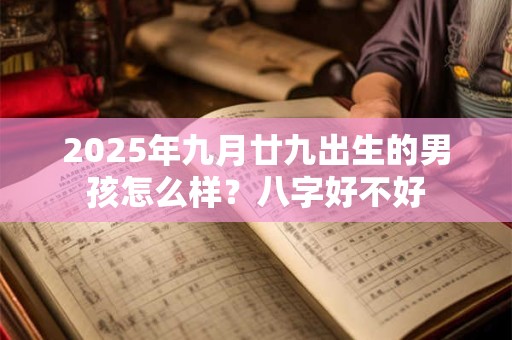2025年九月廿九出生的男孩怎么样？八字好不好