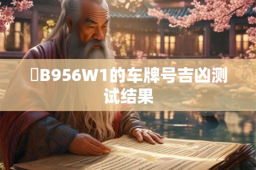 滬B956W1的车牌号吉凶测试结果