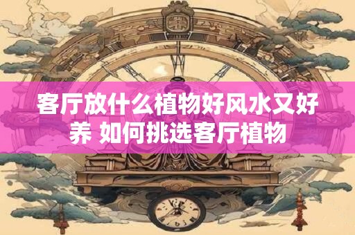 客厅放什么植物好风水又好养 如何挑选客厅植物