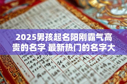 2025男孩起名阳刚霸气高贵的名字 最新热门的名字大全