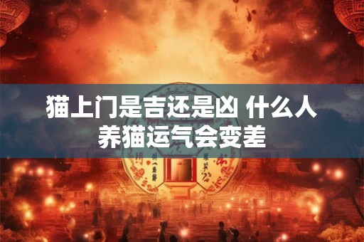 猫上门是吉还是凶 什么人养猫运气会变差