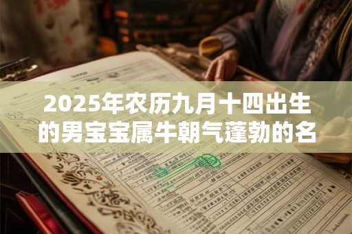 2026年农历九月十四出生的男宝宝属牛朝气蓬勃的名字