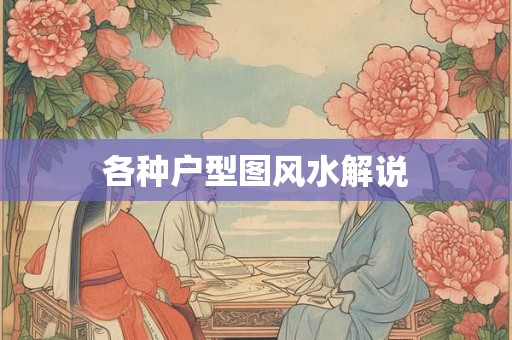 各种户型图风水解说